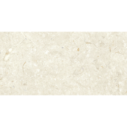 FOSIL BONE 46F232R MAT 30X60 REKT. GAT.1 (P.81697)