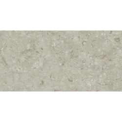 FOSIL GRIS 46F262R MAT...