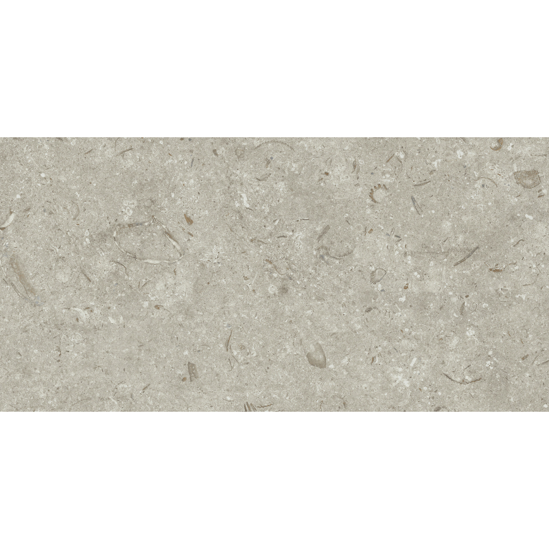FOSIL GRIS 46F262R MAT 30X60 REKT. GAT.1 (P.81763)
