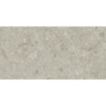 FOSIL GRIS 46F262R MAT 30X60 REKT. GAT.1 (P.81763)