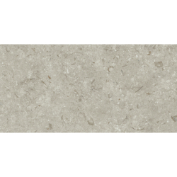 FOSIL GRIS 46F262R MAT 30X60 REKT. GAT.1 (P.81763)