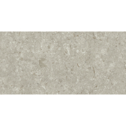 FOSIL GRIS 46F262R MAT 30X60 REKT. GAT.1 (P.81763)