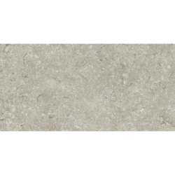 FOSIL GRIS 46F262R MAT 30X60 REKT. GAT.1 (P.81763)