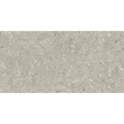 FOSIL GRIS 46F262R MAT 30X60 REKT. GAT.1 (P.81763)