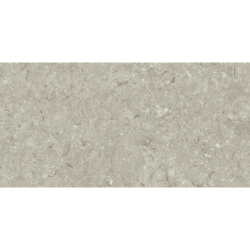 FOSIL GRIS 46F262R MAT 30X60 REKT. GAT.1 (P.81763)