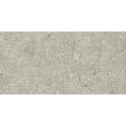 FOSIL GRIS 46F262R MAT 30X60 REKT. GAT.1 (P.81763)