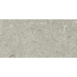 FOSIL GRIS 46F262R MAT 30X60 REKT. GAT.1 (P.81763)