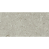FOSIL GRIS 46F262R MAT 30X60 REKT. GAT.1 (P.81763)