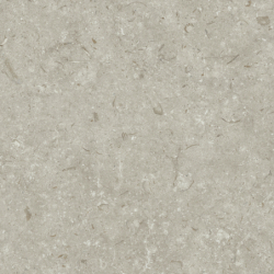 FOSIL GRIS MAT 80X80 REKT....