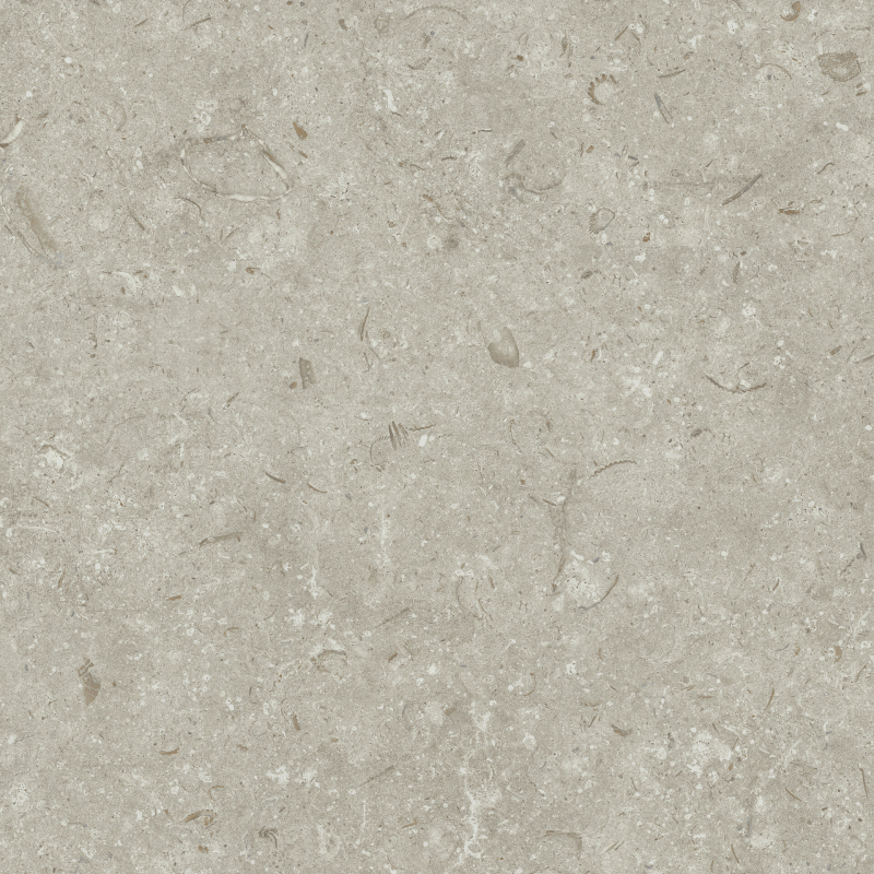 FOSIL GRIS MAT 80X80 REKT. GAT.1 (P.81769)