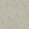 FOSIL GRIS MAT 80X80 REKT. GAT.1 (P.81769)