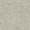 FOSIL GRIS MAT 80X80 REKT. GAT.1 (P.81769)