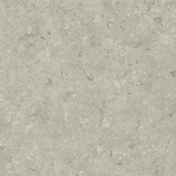 FOSIL GRIS MAT 80X80 REKT. GAT.1 (P.81769)