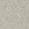 FOSIL GRIS MAT 80X80 REKT. GAT.1 (P.81769)