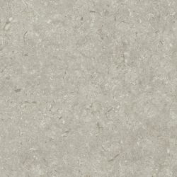 FOSIL GRIS MAT 80X80 REKT. GAT.1 (P.81769)