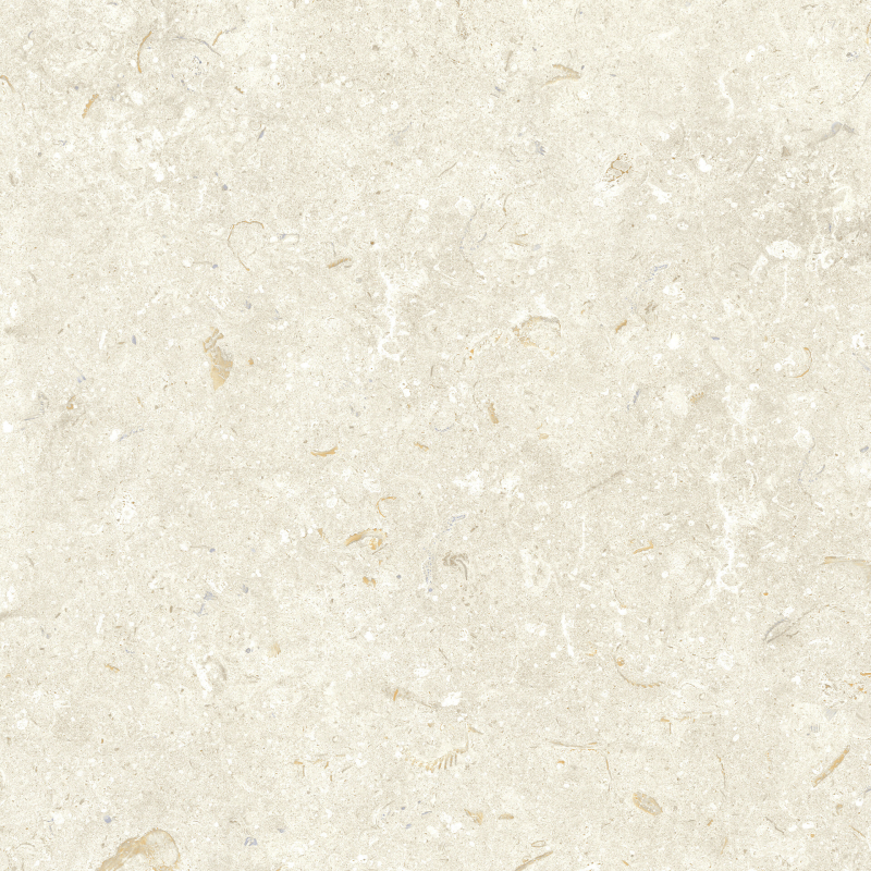FOSIL BONE 60X60 REKT. GAT.1 (P.81771)