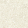 FOSIL BONE 60X60 REKT. GAT.1 (P.81771)