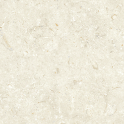FOSIL BONE 60X60 REKT. GAT.1 (P.81771)