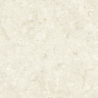 FOSIL BONE 60X60 REKT. GAT.1 (P.81771)