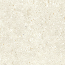 FOSIL BONE 60X60 REKT. GAT.1 (P.81771)