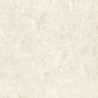 FOSIL BONE 60X60 REKT. GAT.1 (P.81771)