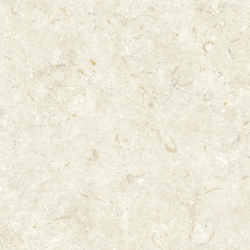 FOSIL BONE 60X60 REKT. GAT.1 (P.81771)