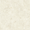 FOSIL BONE 60X60 REKT. GAT.1 (P.81771)