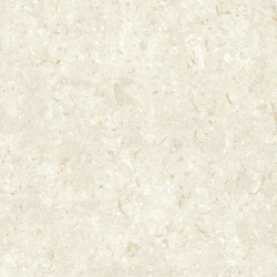 FOSIL BONE 60X60 REKT. GAT.1 (P.81771)