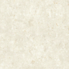FOSIL BONE 60X60 REKT. GAT.1 (P.81771)