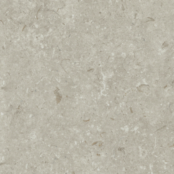FOSIL GRIS 60X60 REKT....