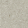 FOSIL GRIS 60X60 REKT. GAT.1 (P.81775)