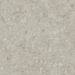 FOSIL GRIS 60X60 REKT. GAT.1 (P.81775)