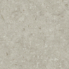 FOSIL GRIS 60X60 REKT. GAT.1 (P.81775)
