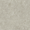FOSIL GRIS 60X60 REKT. GAT.1 (P.81775)