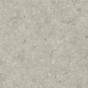 FOSIL GRIS 60X60 REKT. GAT.1 (P.81775)