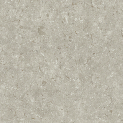 FOSIL GRIS 60X60 REKT. GAT.1 (P.81775)