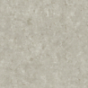 FOSIL GRIS 60X60 REKT. GAT.1 (P.81775)