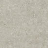 FOSIL GRIS 60X60 REKT. GAT.1 (P.81775)