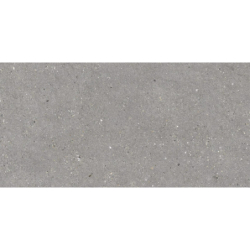 MITICA GRIS MAT 60X120...