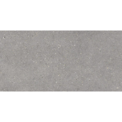 MITICA GRIS MAT 60X120 REKT. GAT.1 (P.81735)
