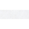 MITICA BLANCO MAT 31,5X100 REKT. GAT.1 (P.81397)
