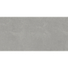 VOLGA GRIS MAT 60X120 REKT. GAT.1 (P.81359)