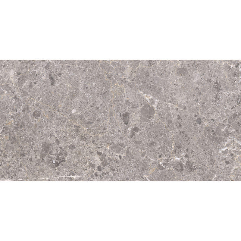 ARTIC GRIS MAT 60X120 REKT. GAT.1 (P.82167)