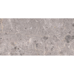 ARTIC GRIS MAT 60X120 REKT. GAT.1 (P.82167)
