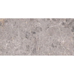 ARTIC GRIS MAT 60X120 REKT. GAT.1 (P.82167)