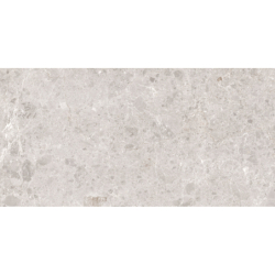 ARTIC BLANCO MAT 60X120...