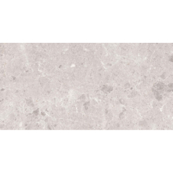ARTIC BLANCO MAT 60X120 REKT. GAT.1 (P.82169)