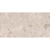 ARTIC BEIGE MAT 60X120 REKT. GAT.1 (P.82173)