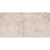 ARTIC BEIGE MAT 60X120 REKT. GAT.1 (P.82173)