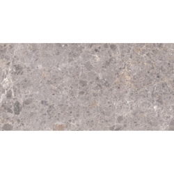 ARTIC GRIS POLER 59X119 REKT. GAT.1 (P.82177)
